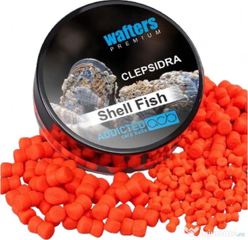 Wafters ADDICTED CARP BAITS Clepsidra Premium, Shell Fish, 6mm, 40ml