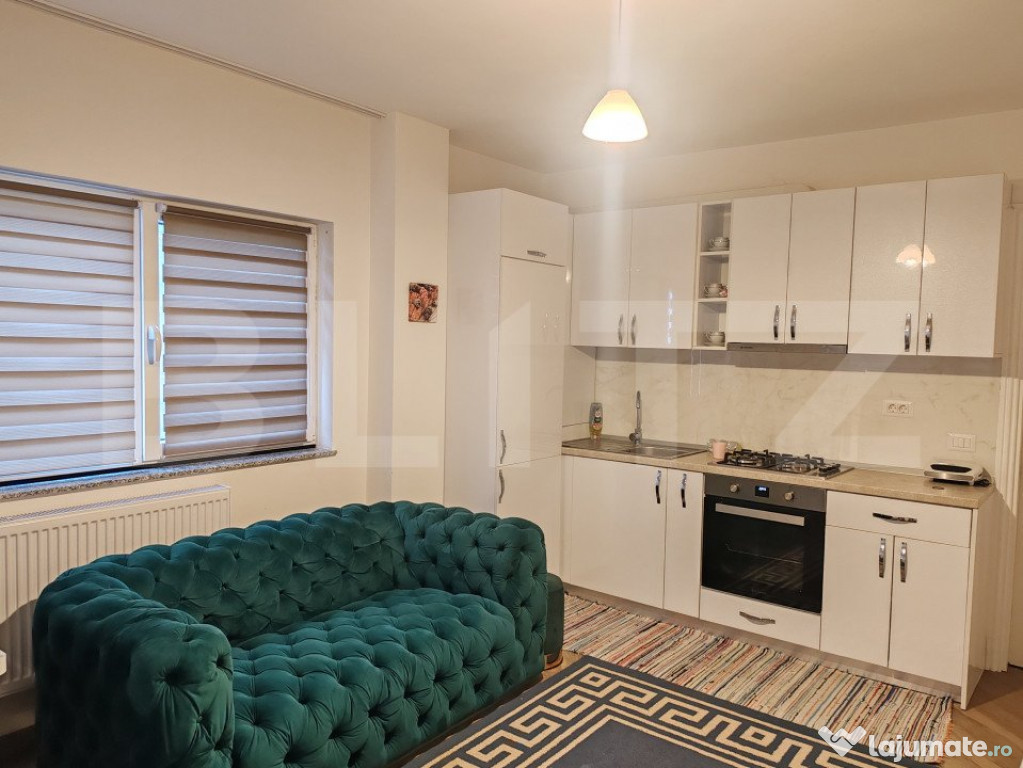 Apartament 37mp, Ipotesti