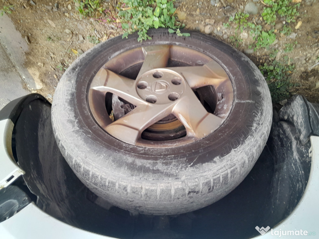 Stergator haion Dacia Duster 2013