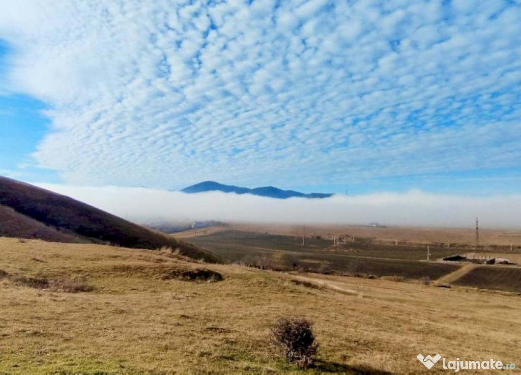Teren intravilan 1000 mp Garcina (aproape de Piatra Neamt)