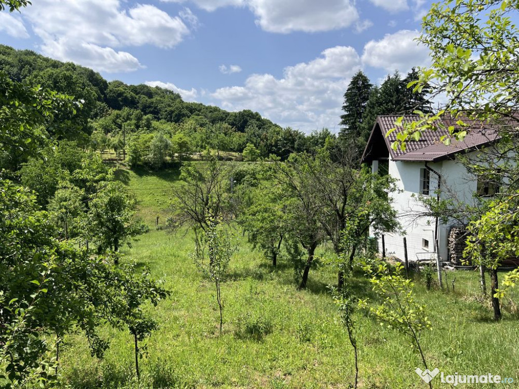 Teren constructie casa Stefanesti | 1652 mp | Langa Padure