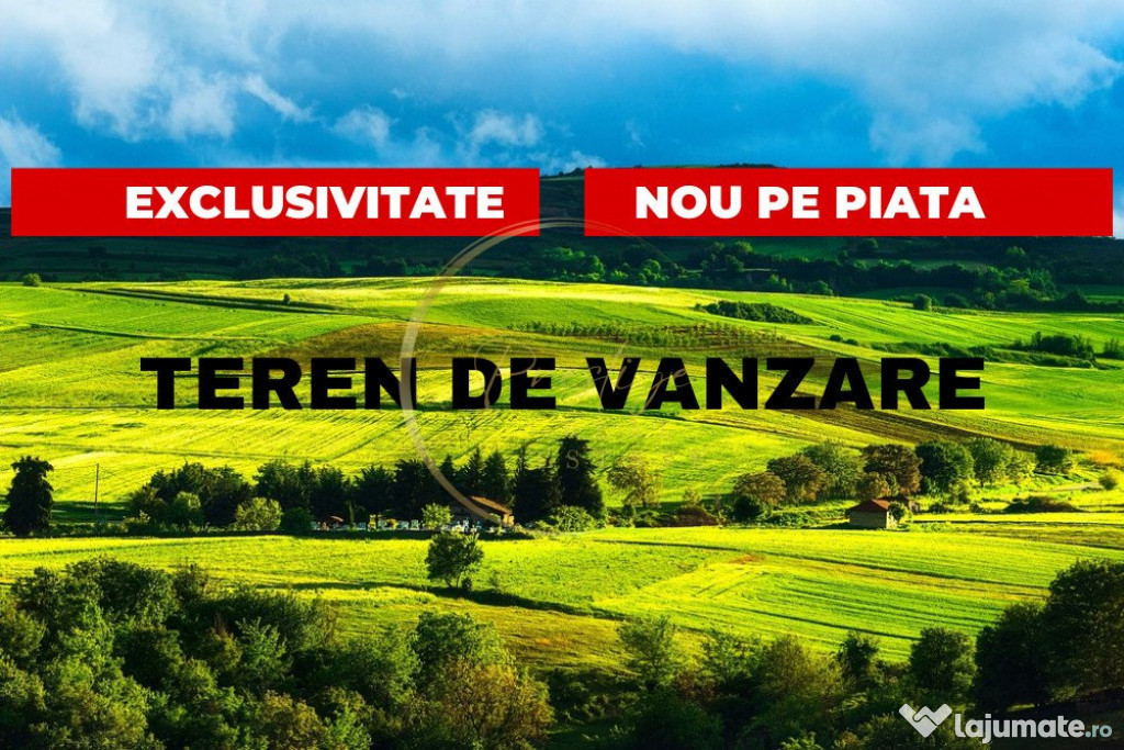 Teren intravilan in Marisel, 8000 mp, parcelabil, la 350 m d