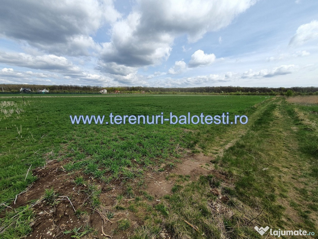 Teren intravilan in Balotesti, 800 mp, 38000 euro
