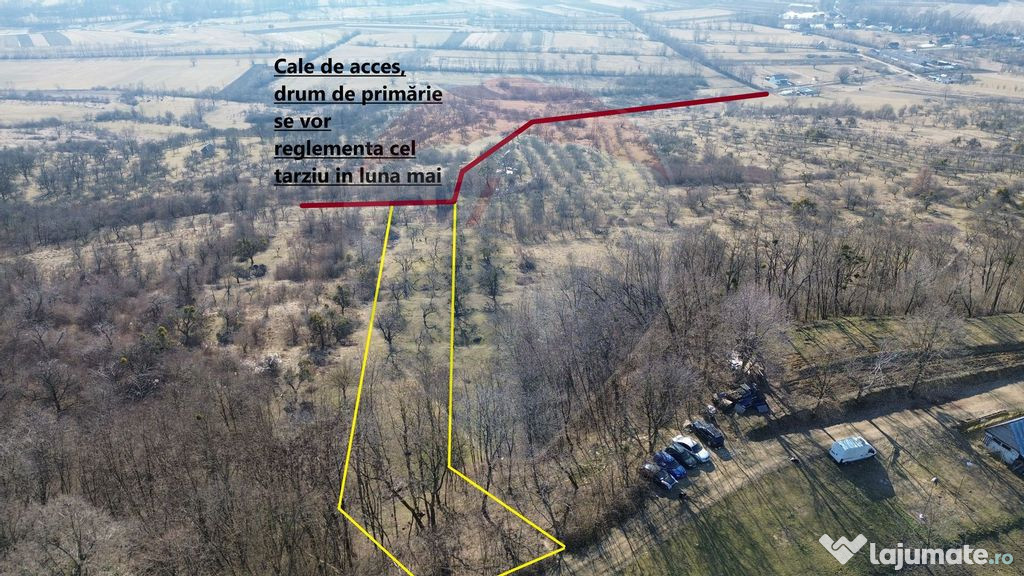 Teren de vanzare extravilan Ocolis