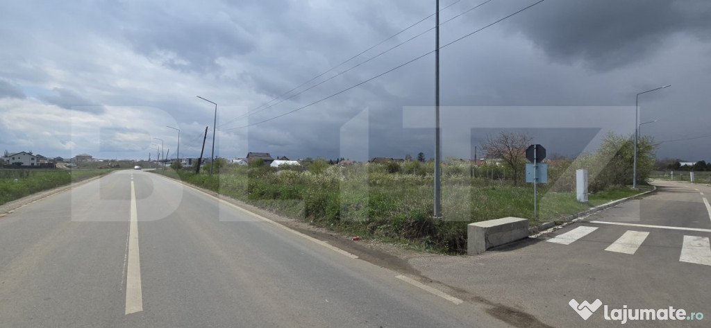 Teren intravilan, 5000 mp, 3 fronturi, zona Carcea-Hanul cu