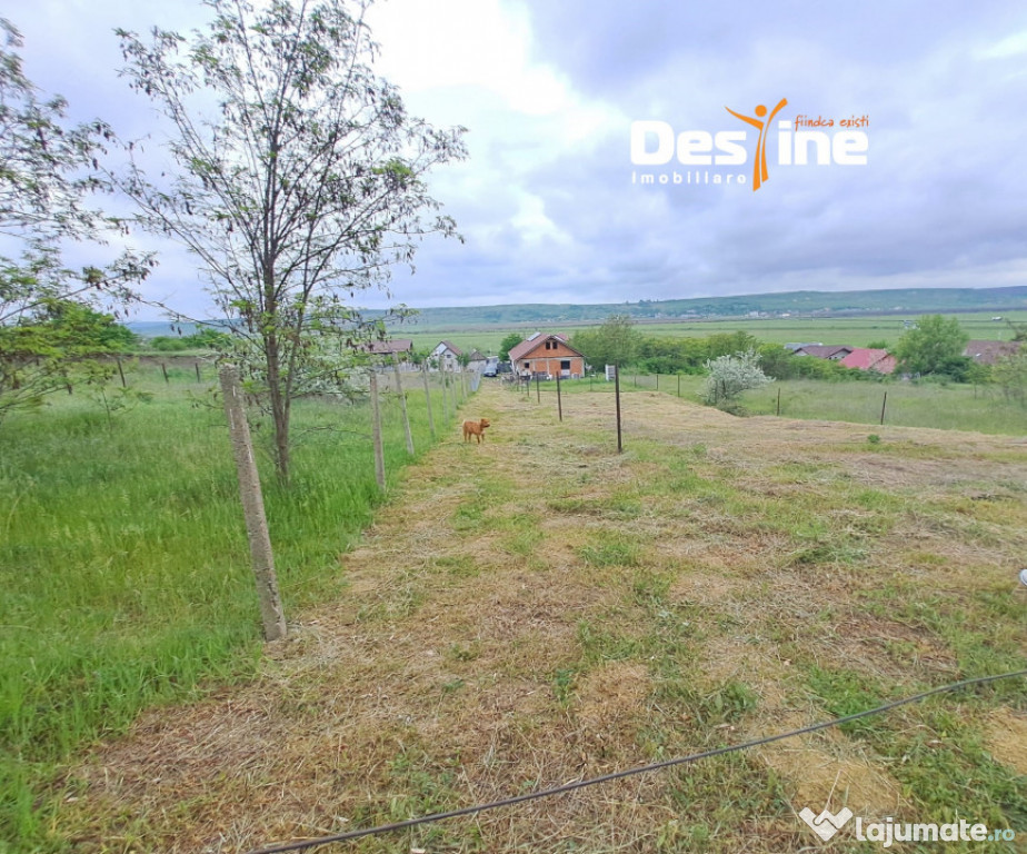 LETCANI, Teren 1055 mp,25.000 euro