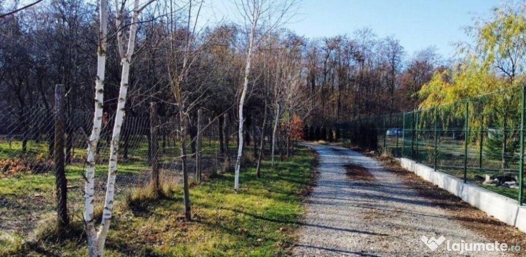 Teren intravilan de vânzare vizavi de Pădurea Snagov