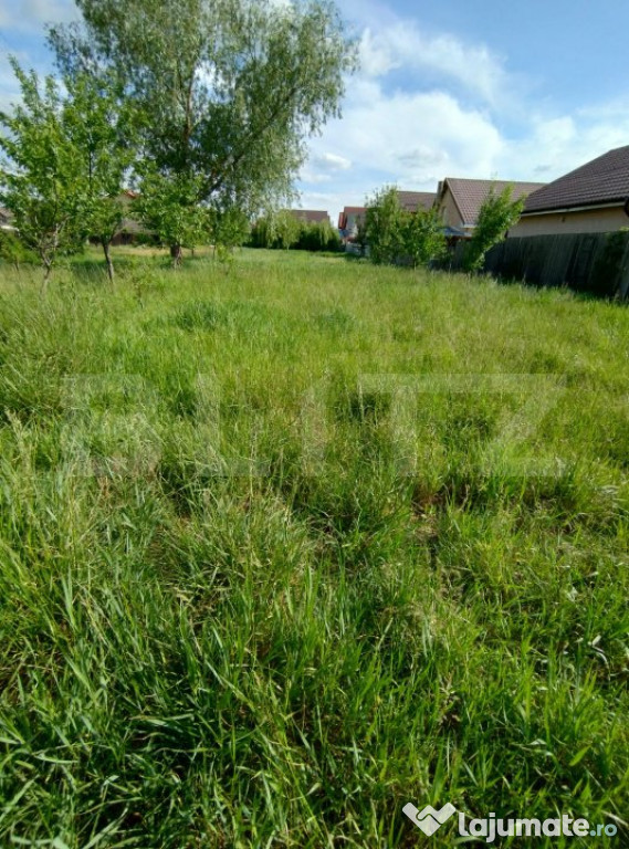 Terenul casei tale in Brestei, zona casa cu cocos, 900mp