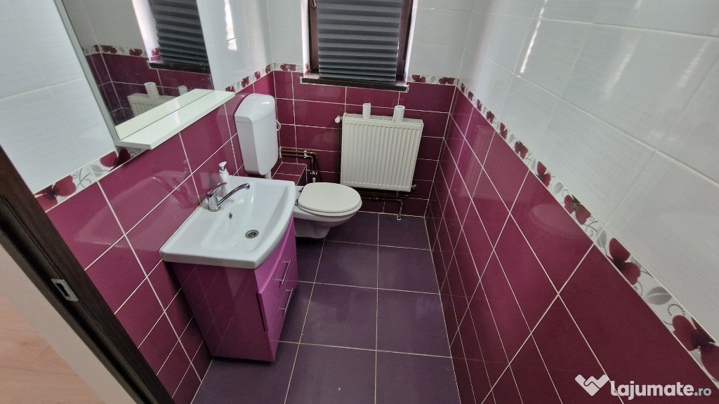Spatiu comercial zona Vlahuță