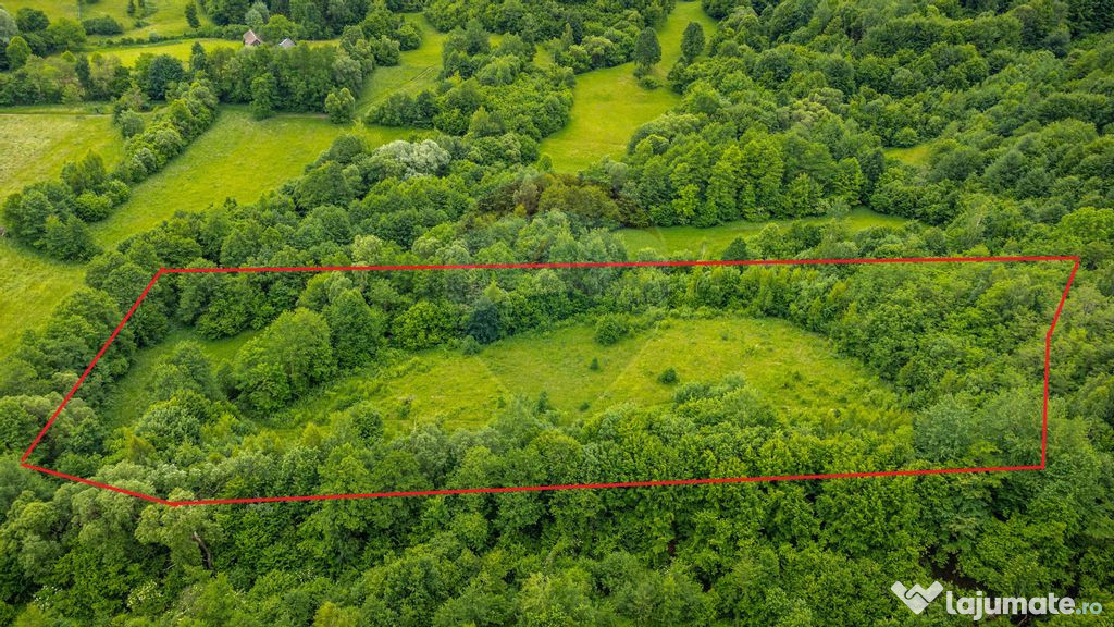 Comision 0 %/ Teren extravilan 18,800mp Sinca Noua / Zona...