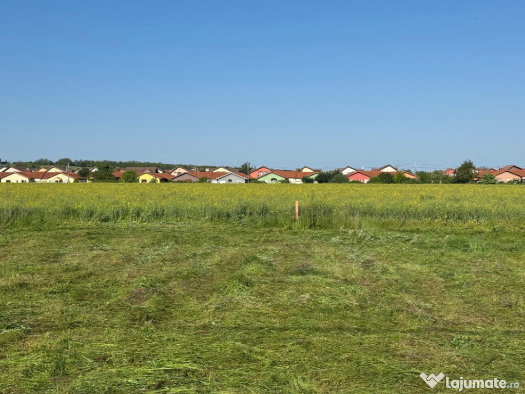 Teren Intravilan de Vânzare – Paleu, 500 mp, cu PUZ Aprob