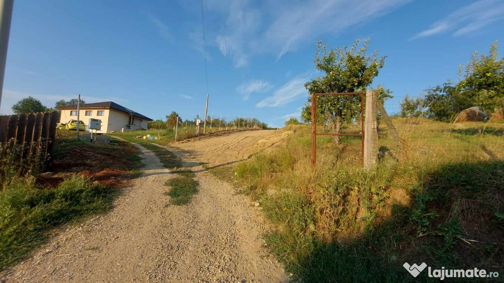 Teren intravilan , Bucium Barnova