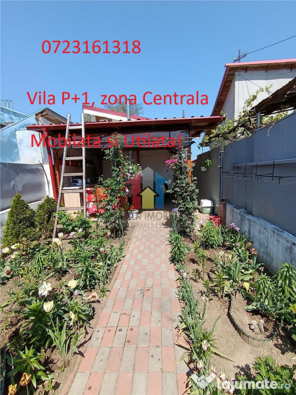 VILA, P 1, Caramida si Boltari, zona Centru