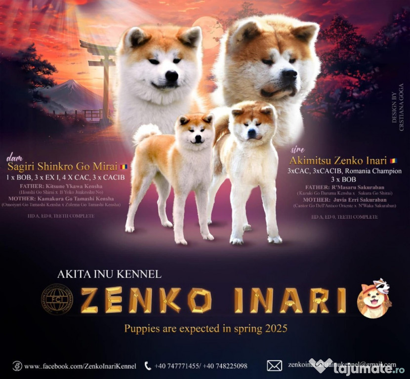 Canisa Zenko Inari
