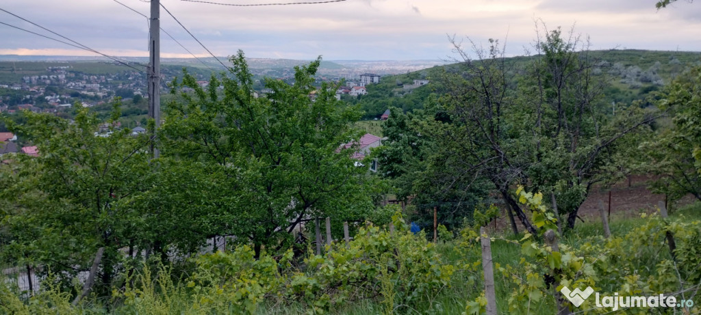 Bucium!Teren intravilan cu casa,1500mp!