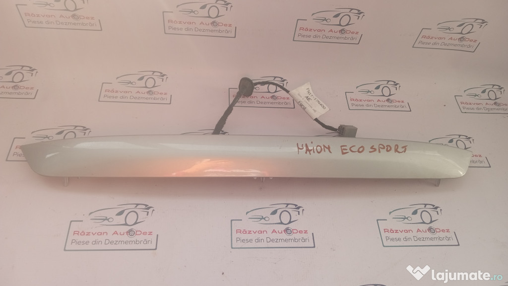 Ornament haion Ford Ecosport 2015