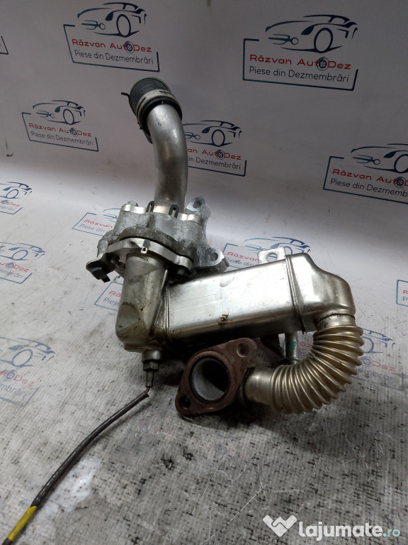 Racitor Gaze cu EGR Nissan Qashqai 1.6 2011