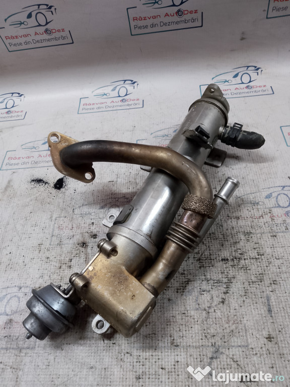 Racitor Gaze Audi Q5 2010