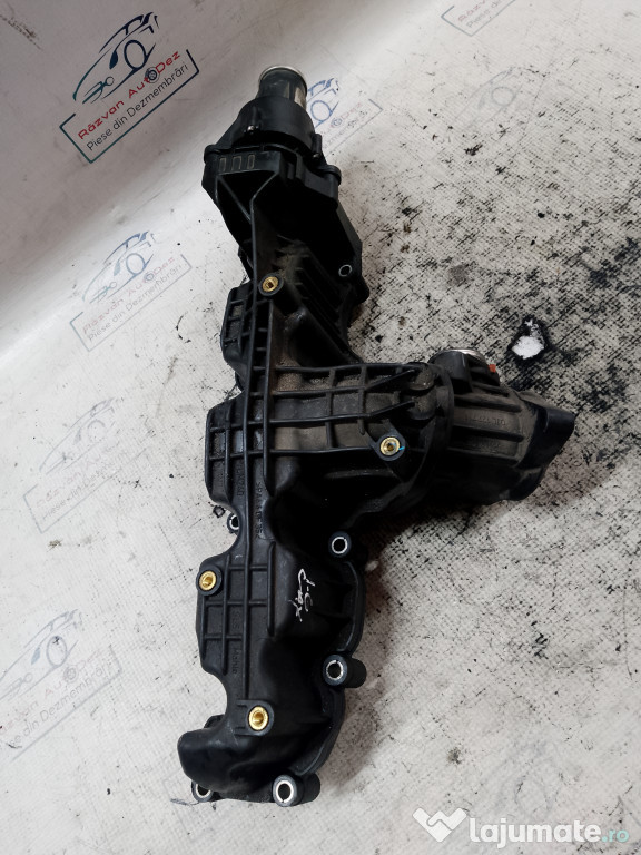 Galerie Admisie Plastic Skoda RAPID 1.6 2014