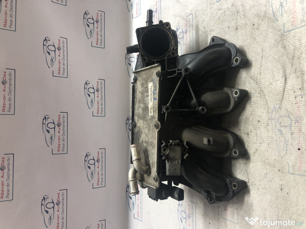 Galerie Admisie Plastic Skoda Fabia 1.2