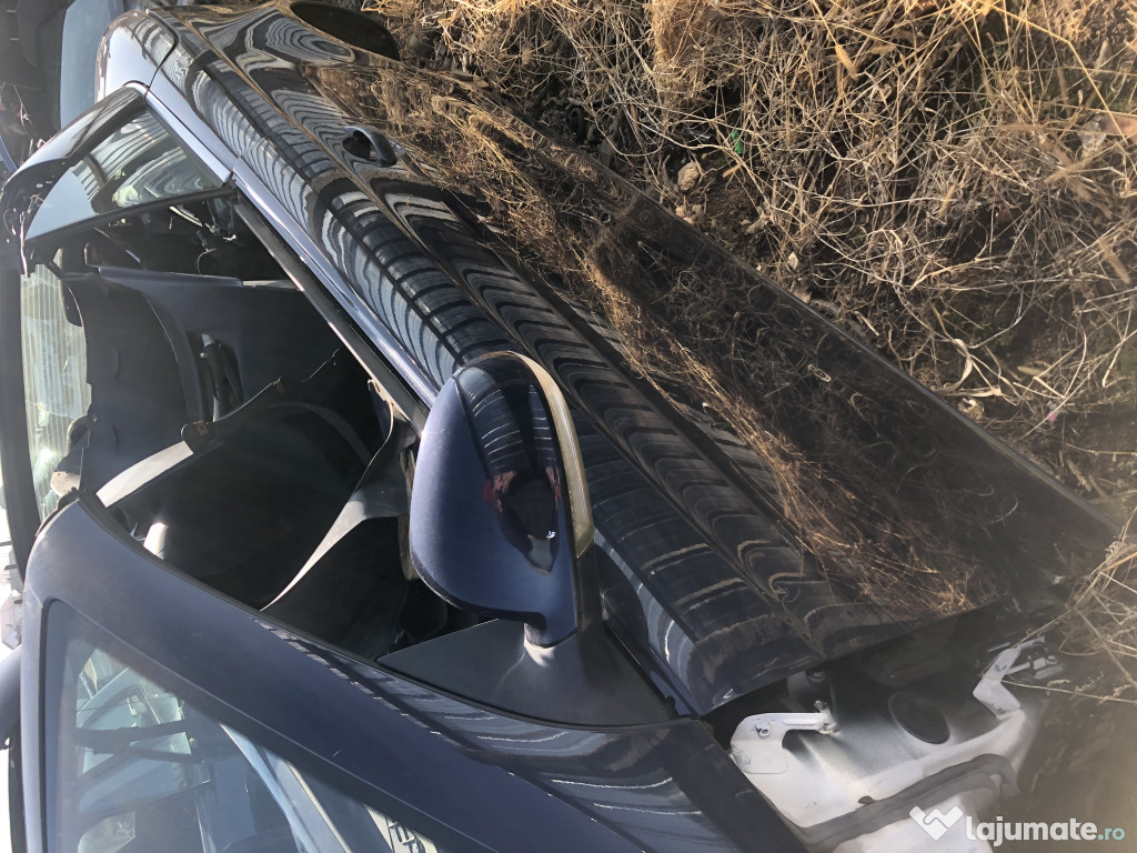 Usa stanga fata Volkswagen Eos 2007