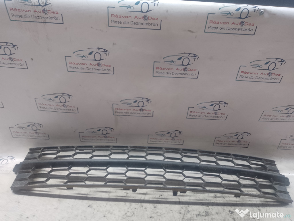 Grila bara fata Skoda RAPID 2014