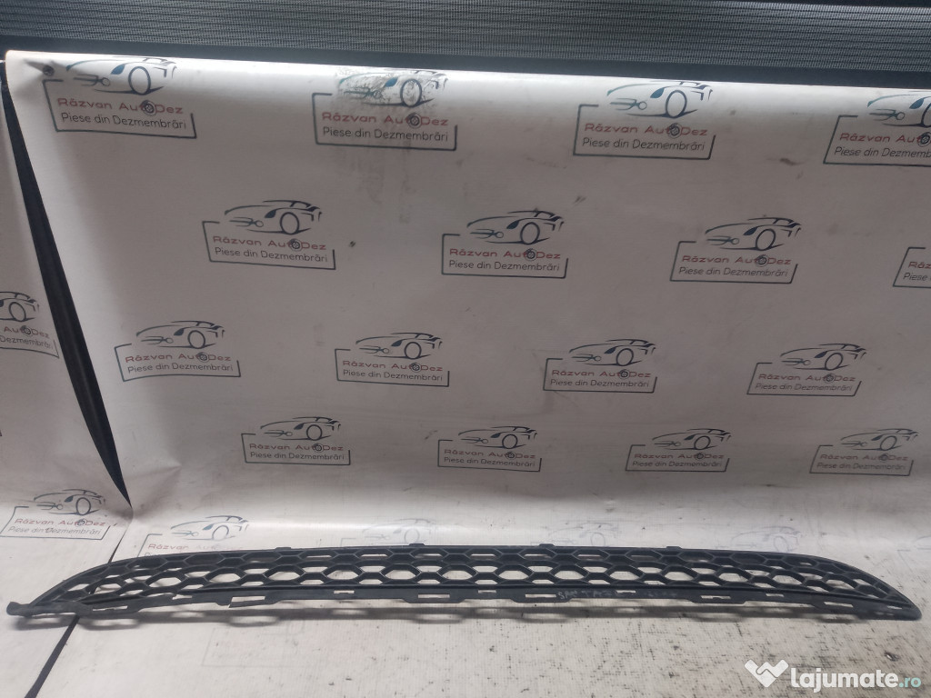 Grila bara fata Hyundai Santa Fe 2007