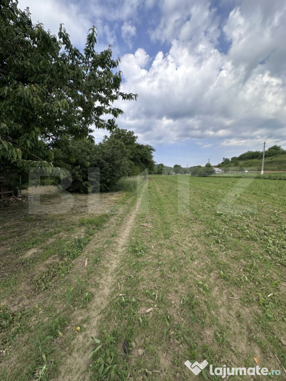Teren intravilan 5.800 mp în Câțcău, cu anexe gospodăr