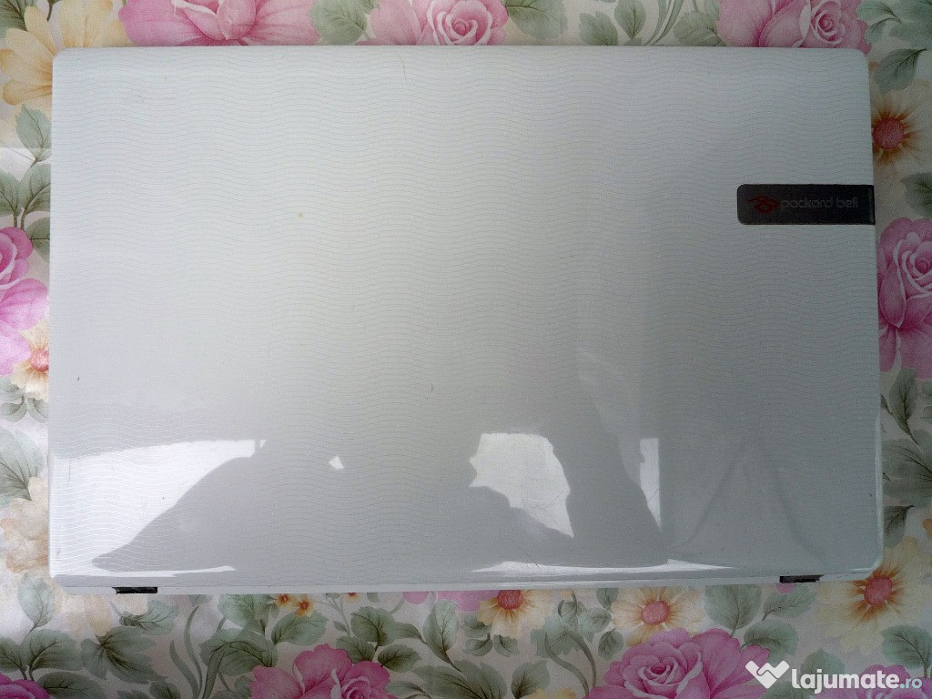 6 laptopuri defecte