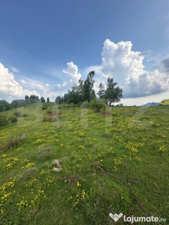 Teren extravilan 2241 mp ideal pentru cabana in Ramet Transa