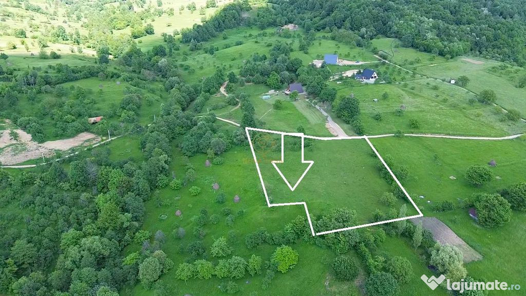 De vanzare Teren 60 ari Negreia/Sisesti /Zona de Vis/Fron...