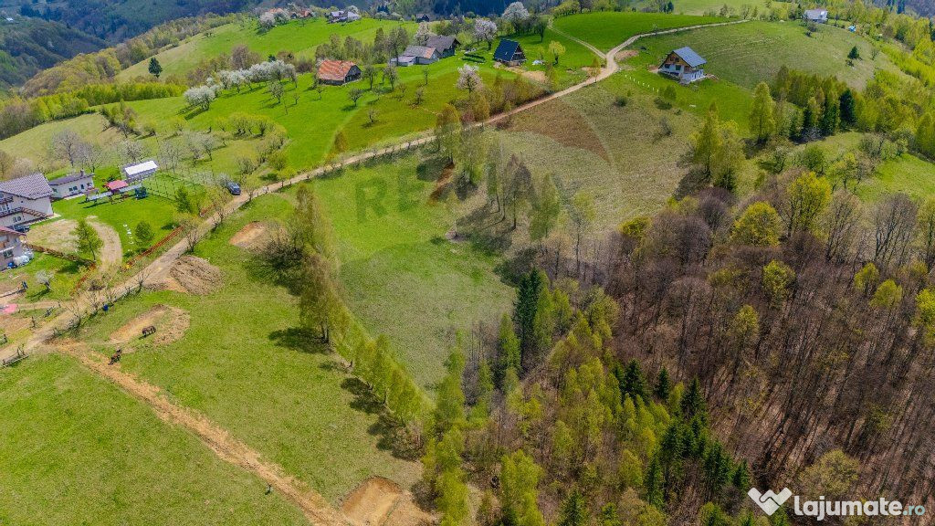 Teren extravilan 2,000mp Pestera / cabana vacanta/natura