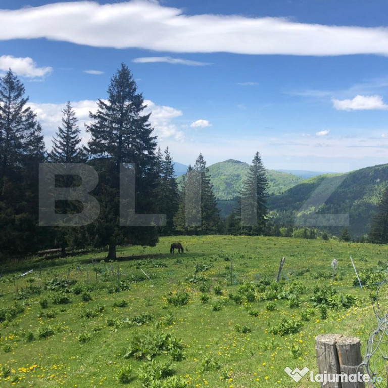 De vanzare, teren intravilan 5.500mp, Predeal