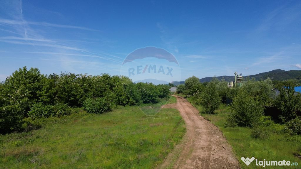 Teren de vânzare zona industrială Tăuții-Măgherăuș...