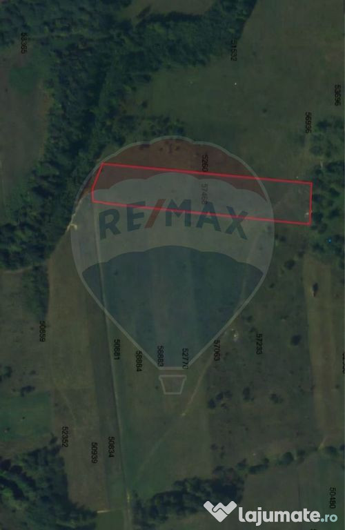 De vânzare teren intravilan 2.444 mp - Târgu Lăpuș