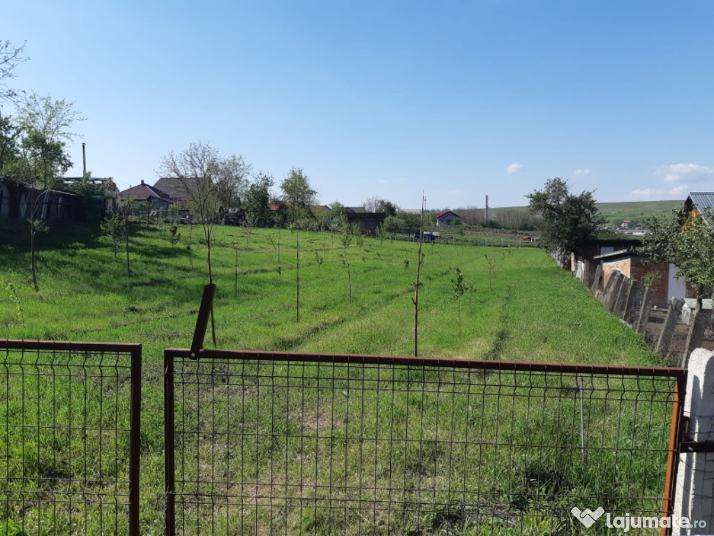Teren intravilan, loc de casa în Cismea, Rachiti, Botosani