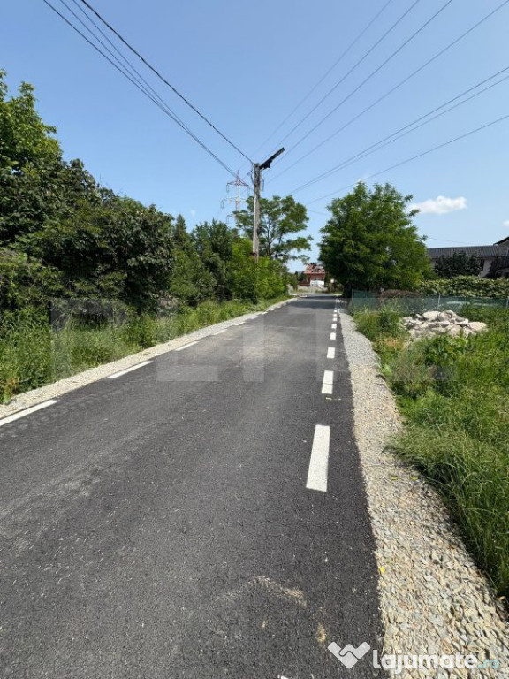 Teren Intravilan Viisoara