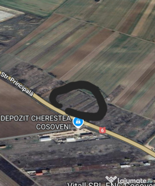 Teren intravilan Cosoveni 1000 mp