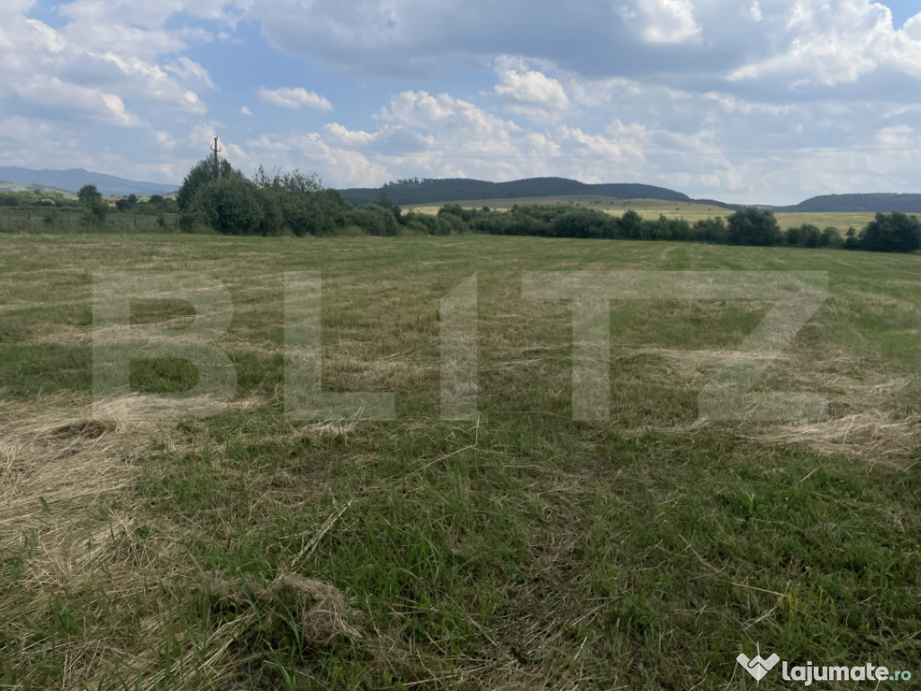 Teren extravilan 1200 mp – Dorolea, aproape de Mănăstire