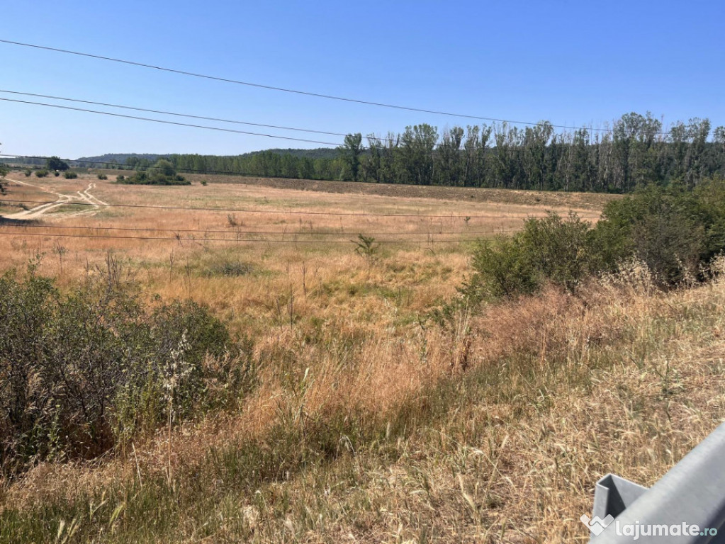 Teren agricol cu potential – 24.834 mp, zona Podul Jiului