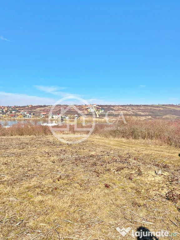 Teren 10.071 mp de vanzare in Paleu, Bihor