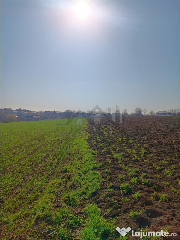 OCAZIE! Vorovesti Teren 83000mp intrav. si extrav. cu utilit