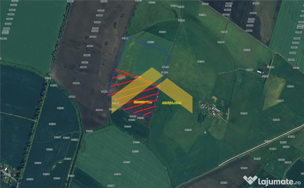 Teren 6,8ha extravilan de Zimandu Nou