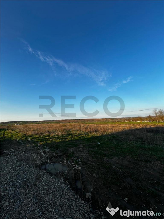 RECO Teren intravilan , Comuna Paleu , Bihor