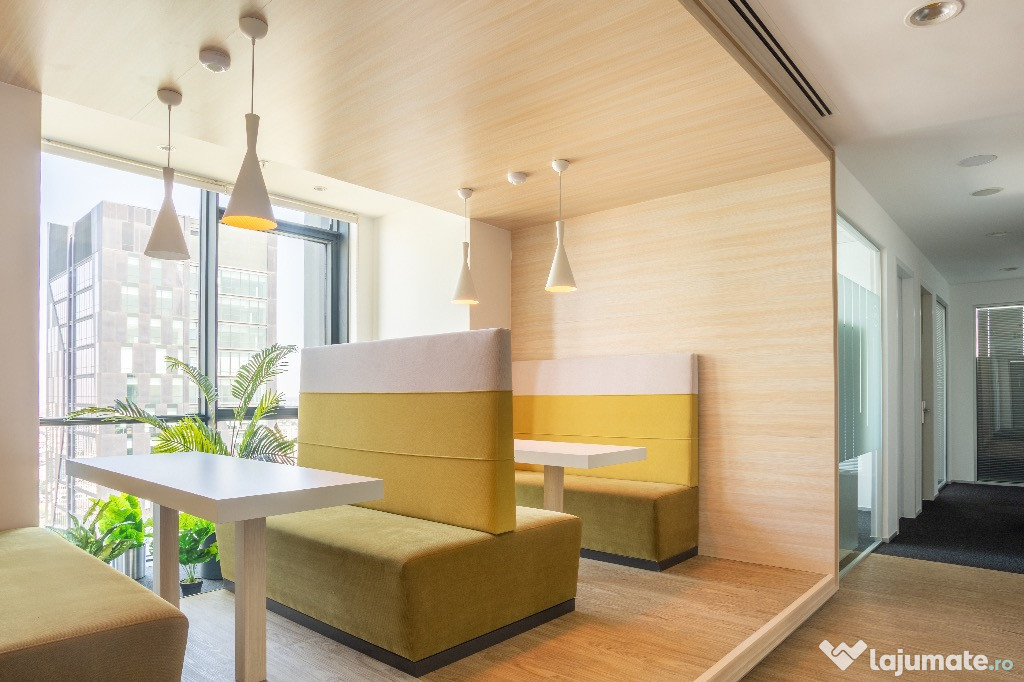 Acces nelimitat la spații de co-working în Regus Central Business Plaz