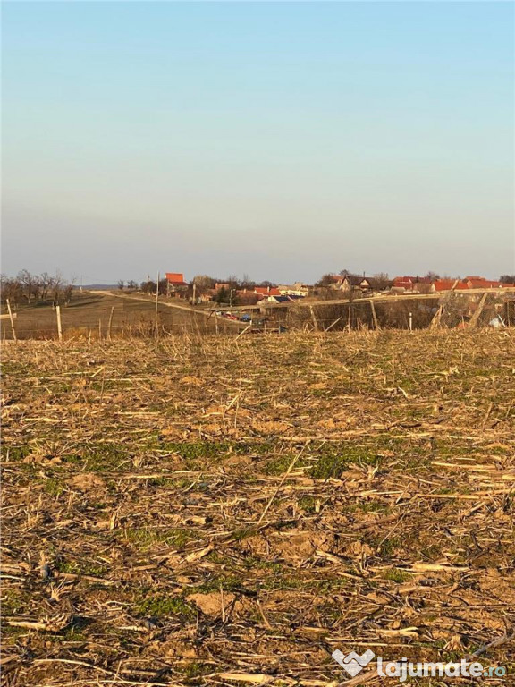RECO Teren intravilan in Saldabagiu De Munte 2000mp