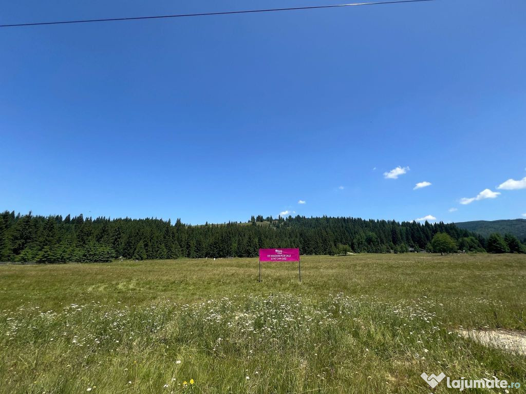 Teren intravilan 42 450 mp în zona montană!