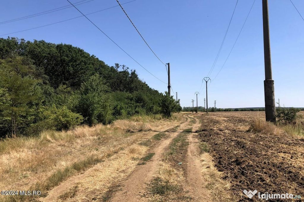 Moara Vlasiei - langa Padurea Biglaru, 11.884 mp, deschid...