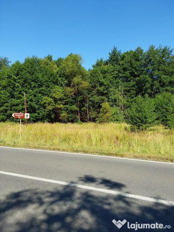 TEREN INTRAVILAN ÎN MARGA-LA DN68 JUD.CARAȘ-SEVERIN