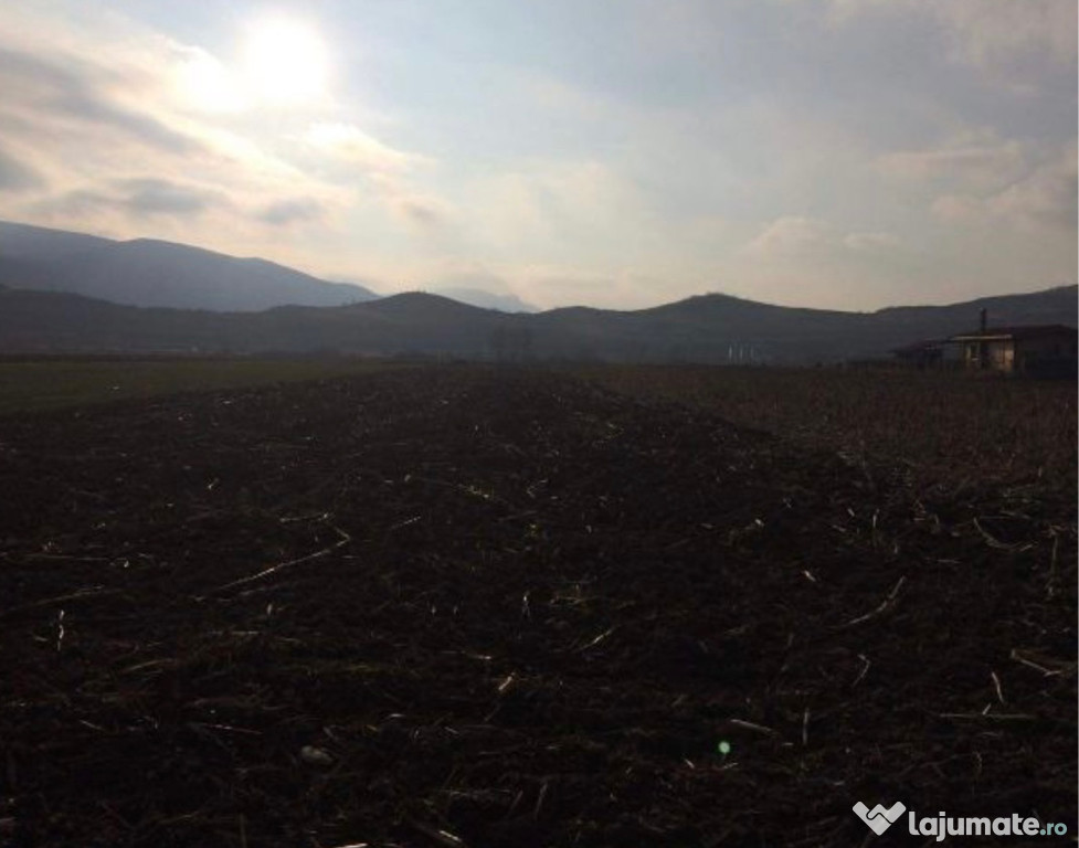 Teren în Șard 3000mp